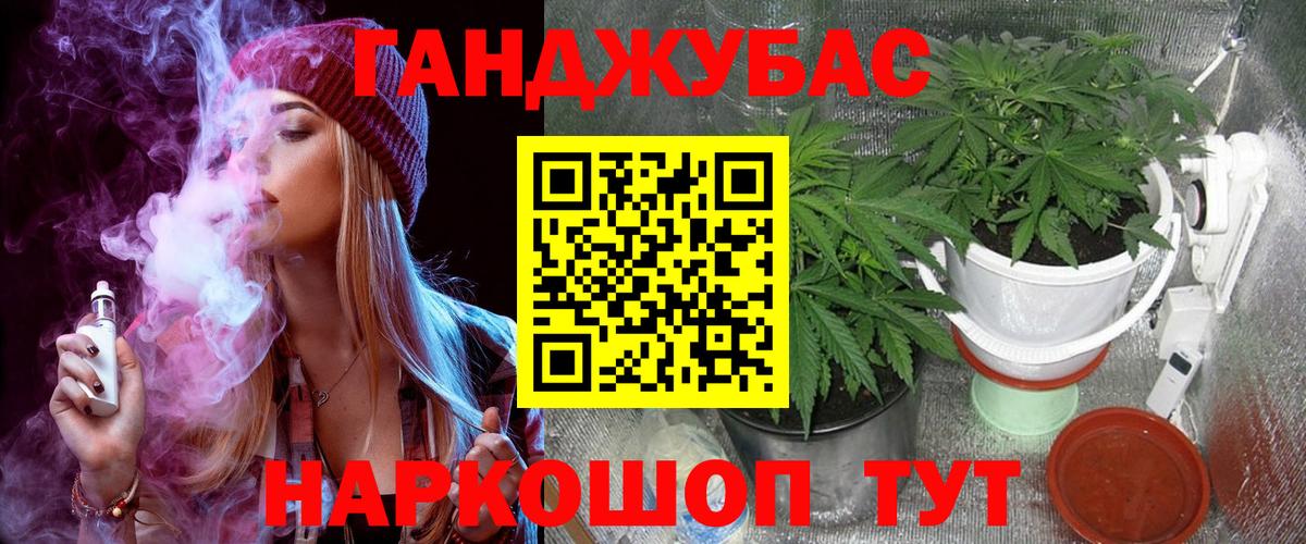 Владимир  Бошки Шишки конопля  Бошки Шишки план  Вход с VPN 
